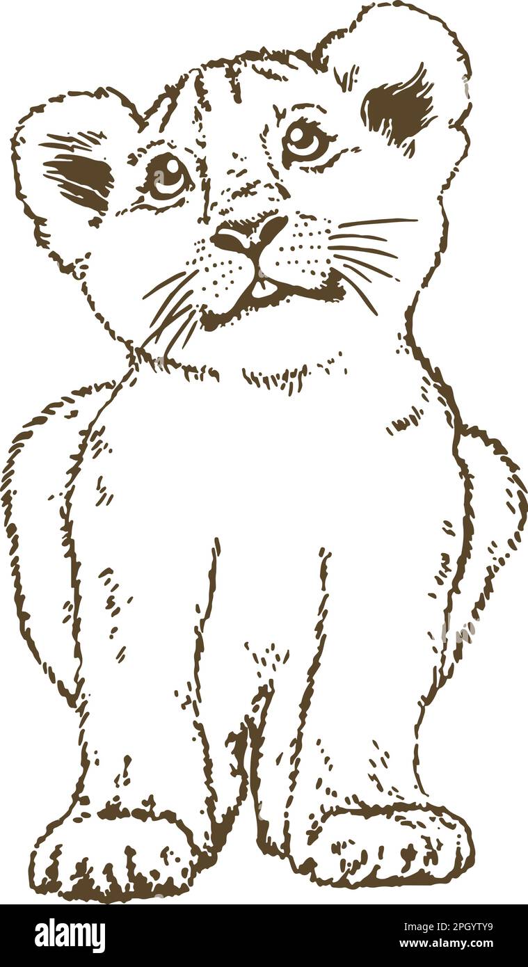 cute lion cub, hand drawn, vector illustration Stock Vector