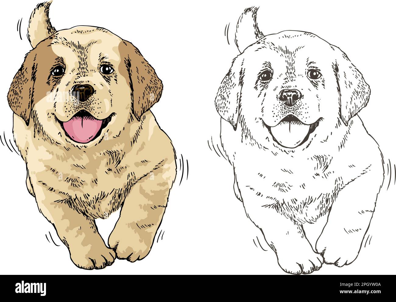 puppy dog walks happily, Hand drawn, vector illustration Stock Vector