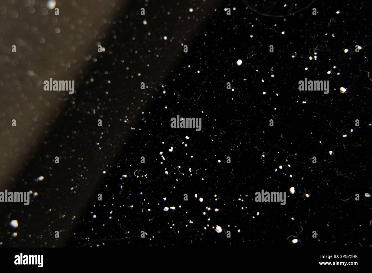 black background with small white dots for design Stock Photo - Alamy