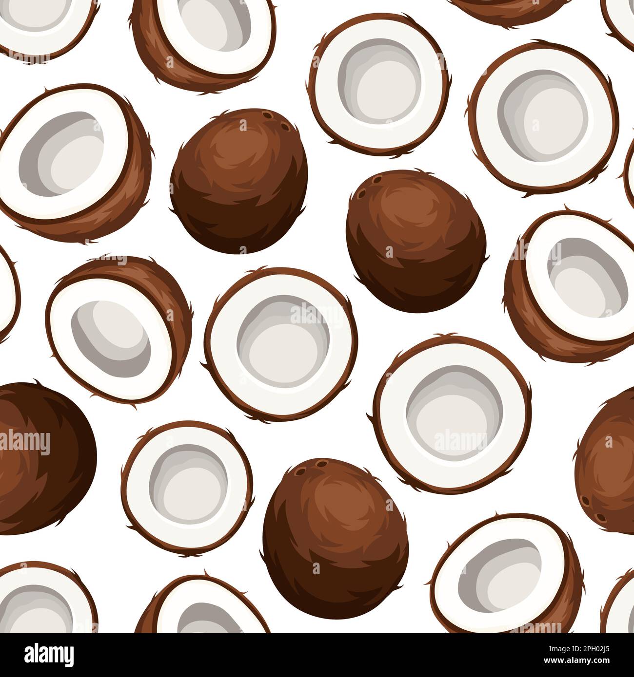 Coconuts design Bottom