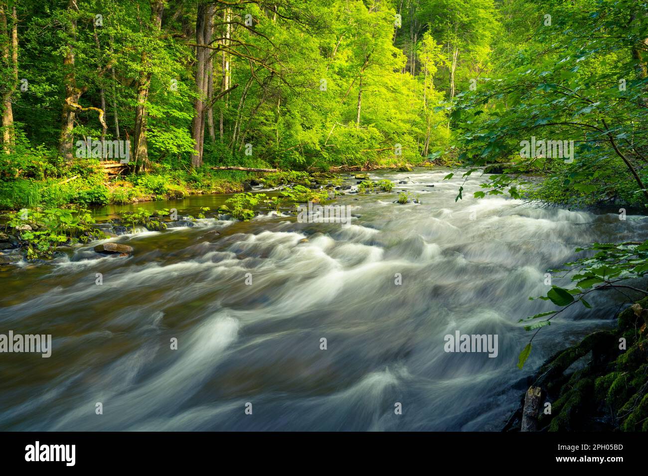 Landscape in the Black Forest, river Wutach in the Wutach canyon (Wutachschlucht). Germany Stock Photo