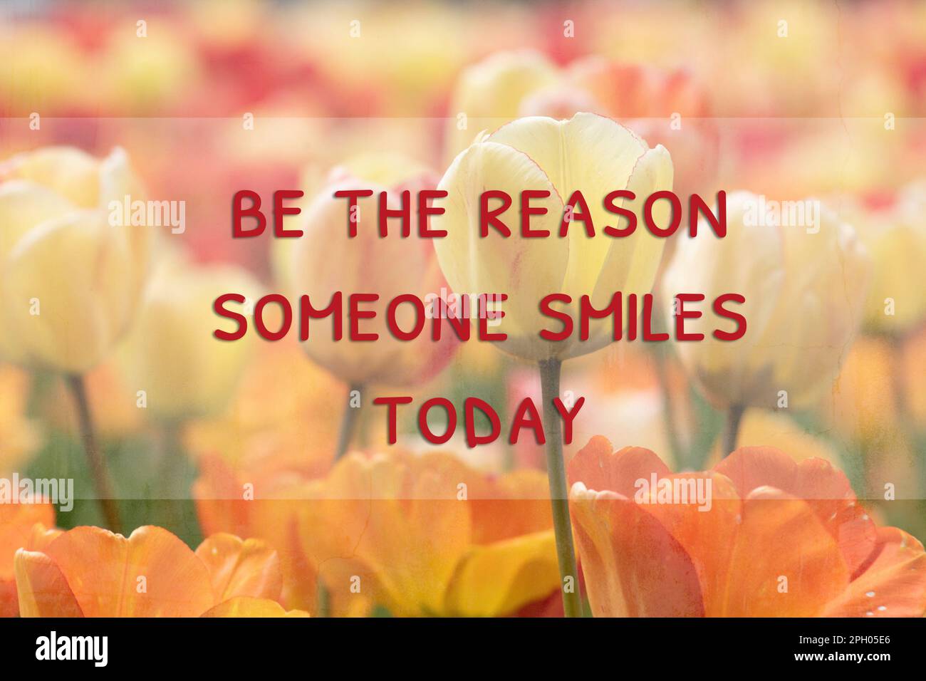 Be the reason someone smiles today motivational life quote for