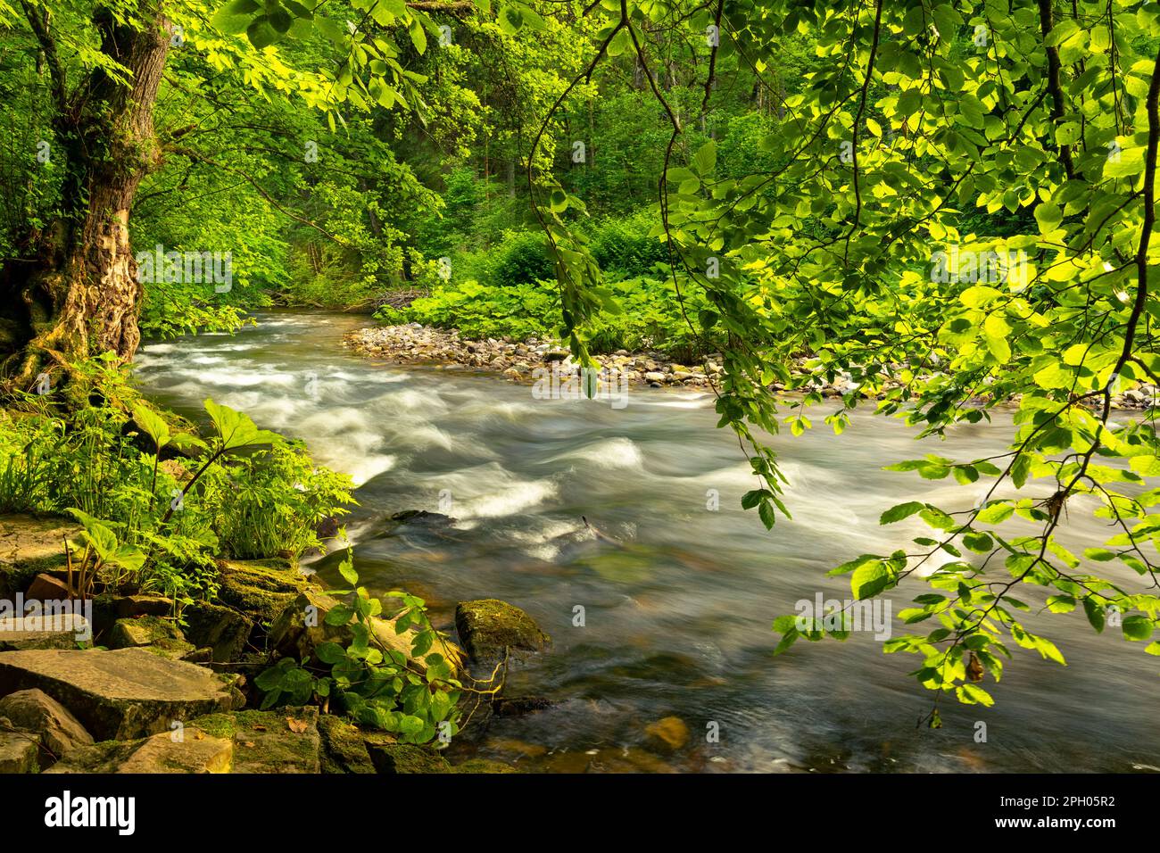Landscape in the Black Forest, river Wutach in the Wutach canyon (Wutachschlucht). Germany Stock Photo