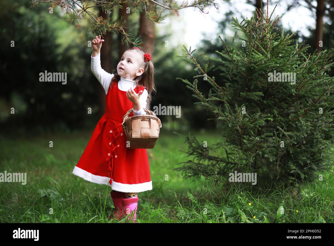 A little girl in a red hat and dresses is walking in the park. Cosplay ...