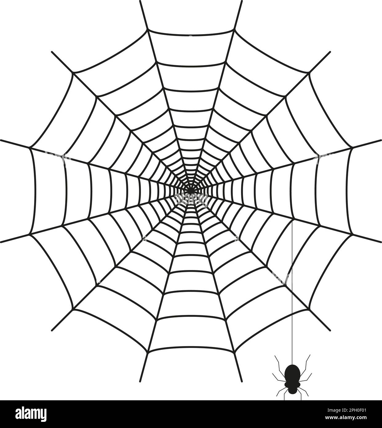 Spider web isolated on white background Stock Photo