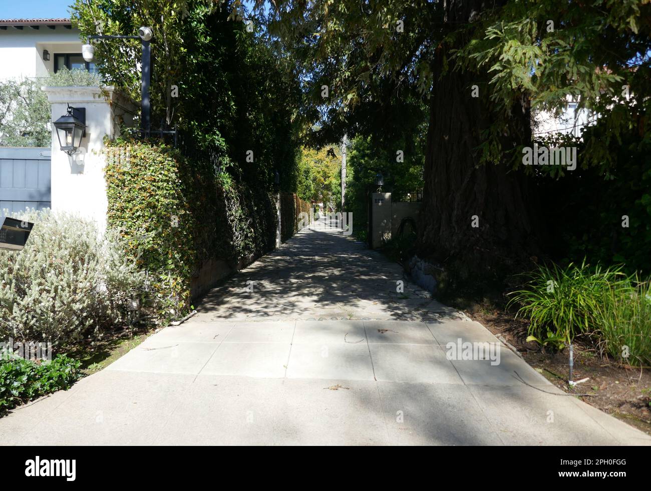 Los Angeles, California, USA 24th March 2023 Actor Hallam Cooley's