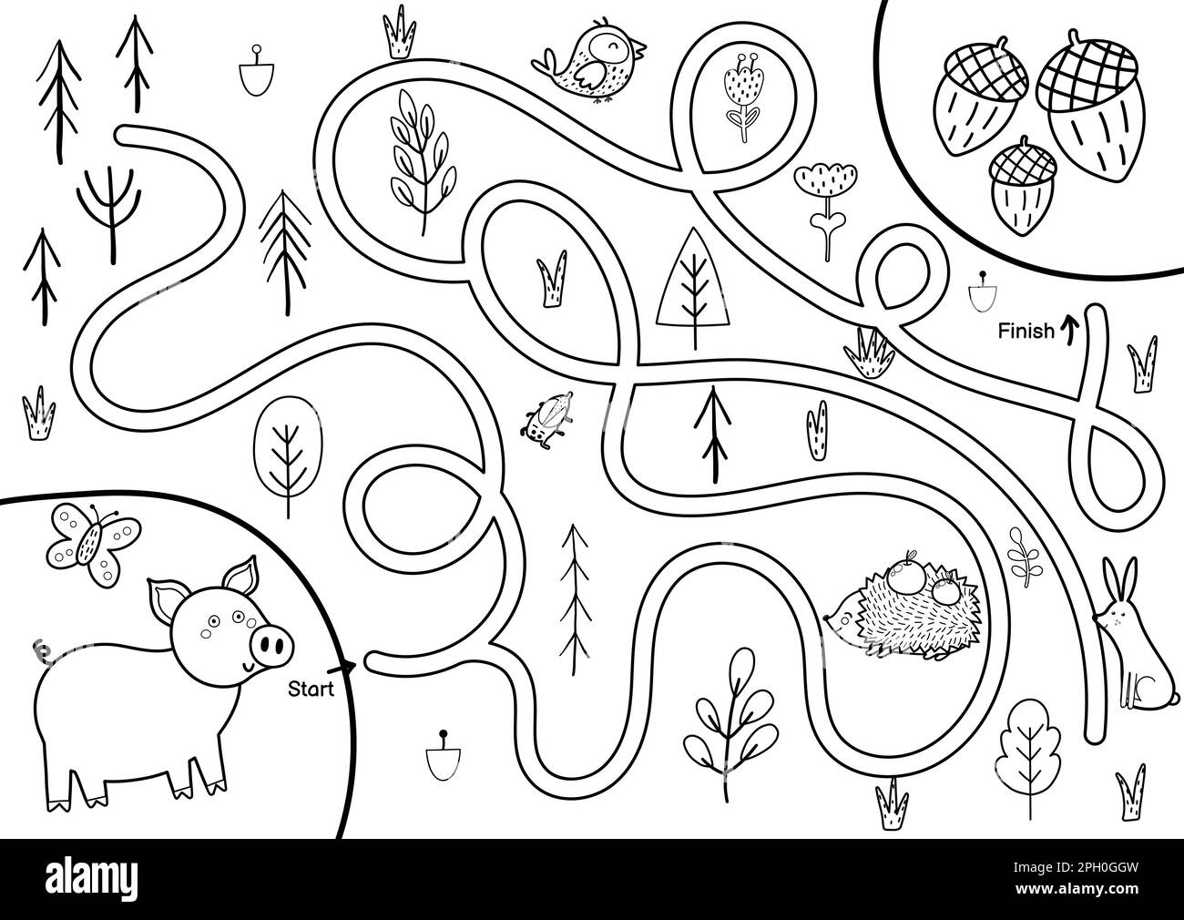 Black and white maze game for kids. Help cute pig find the way to the acorns Stock Vector