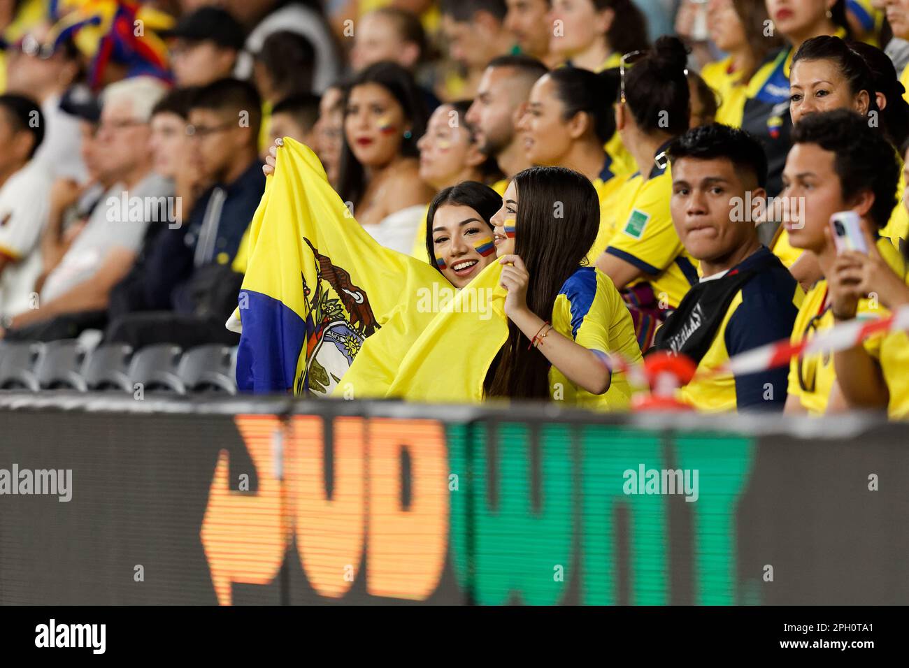 Ecuador fans enjoying the game during the match between Australian Socceroos and Ecuador at CommBank Stadium on March 24, 2023 in Sydney, Australia Stock Photo