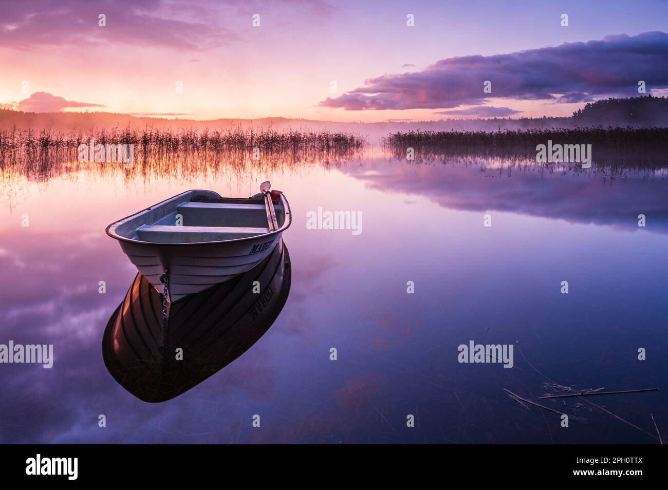 A tranquil dawn with a rowboat reflecting off the lakes serene surface, surrounded by beauty of nature and a pink sky. Stock Photo