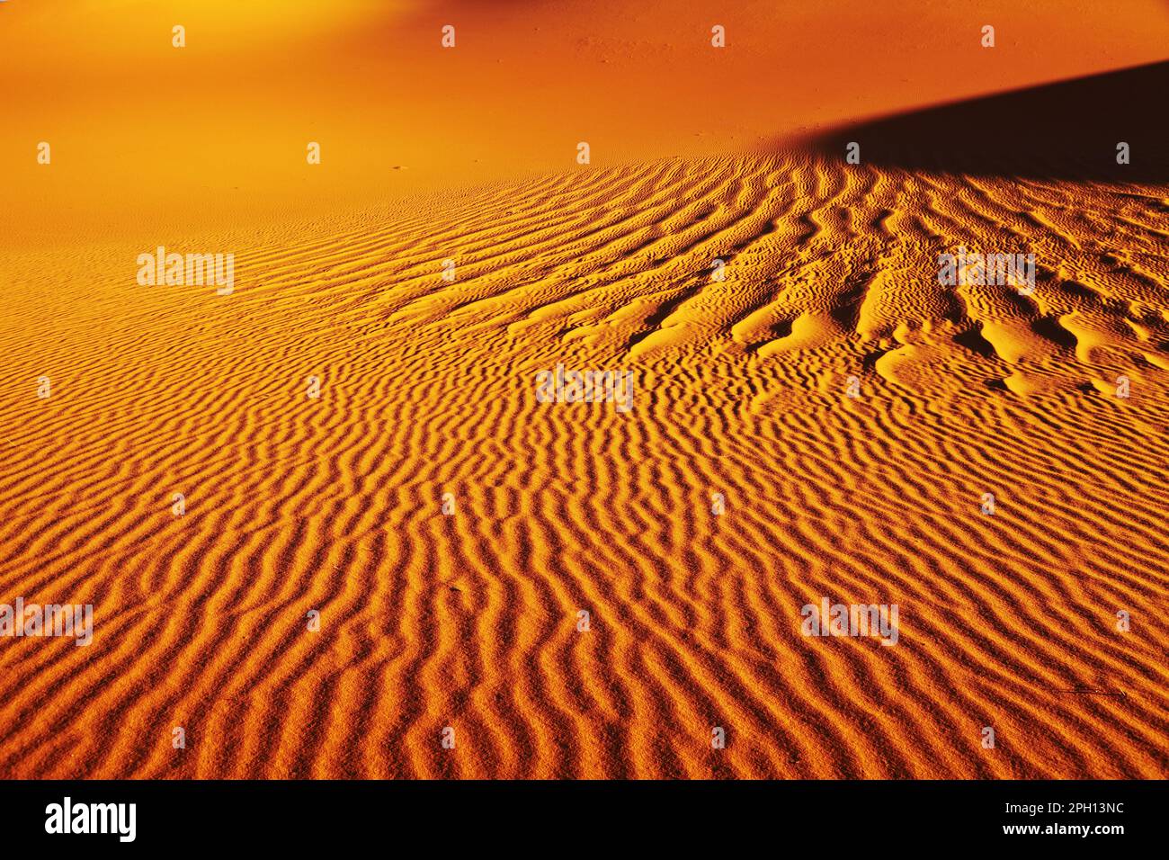 Sand dune in Sahara Desert Stock Photo - Alamy
