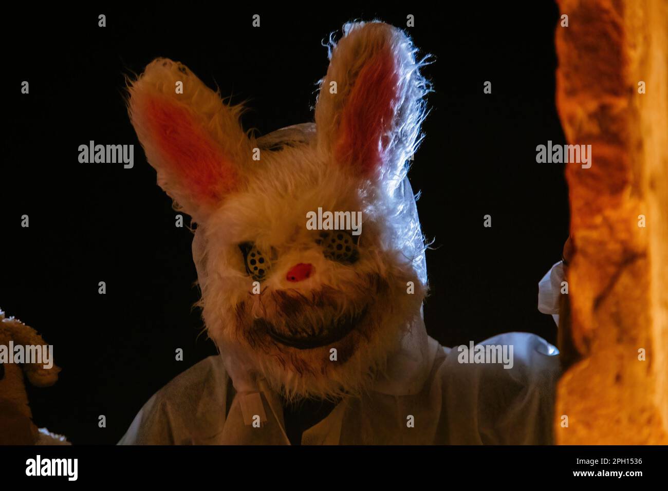 Scary rabbit hi-res stock photography and images - Alamy