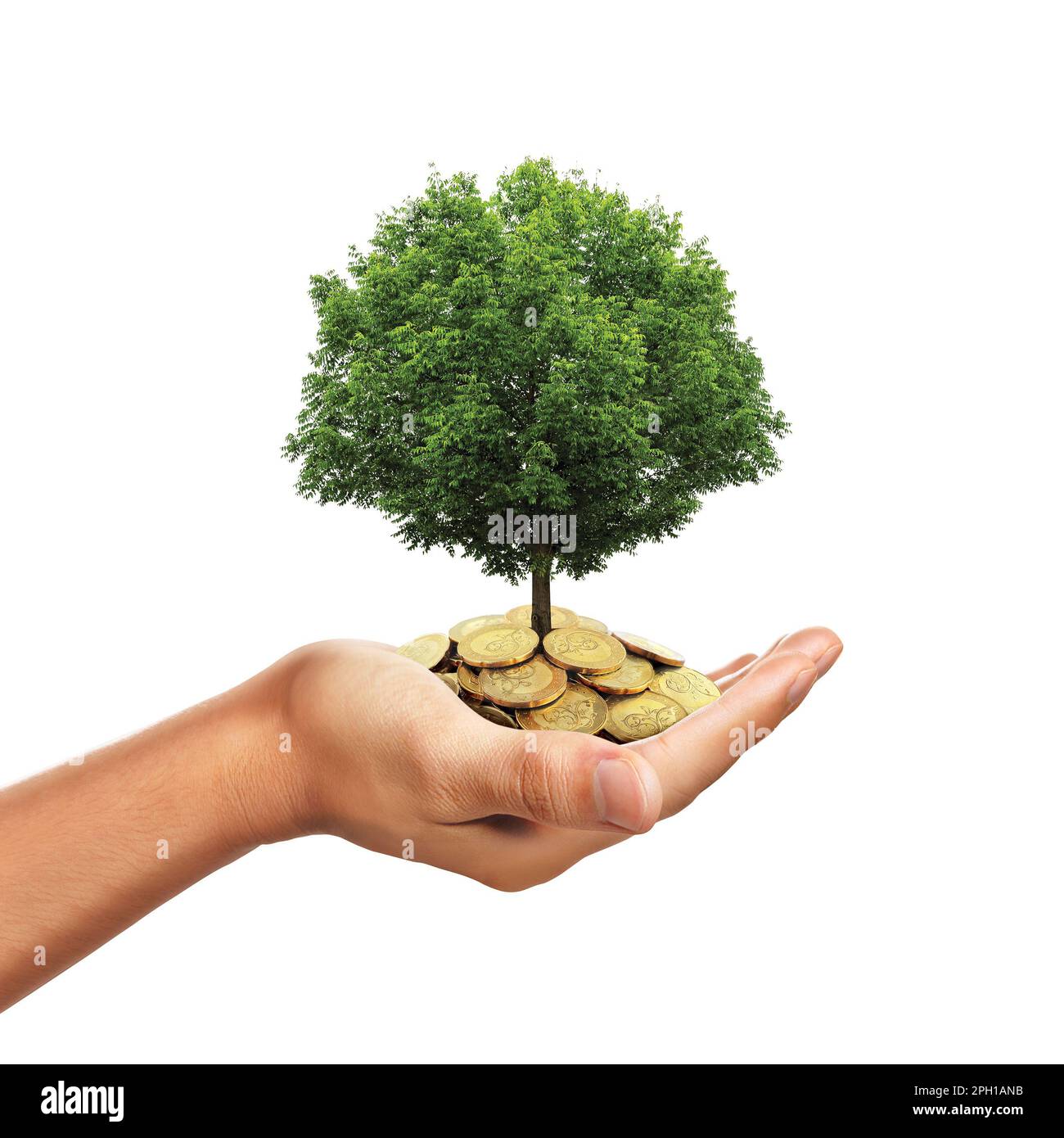 Hand holding stack of golden coins with tree growing Stock Photo