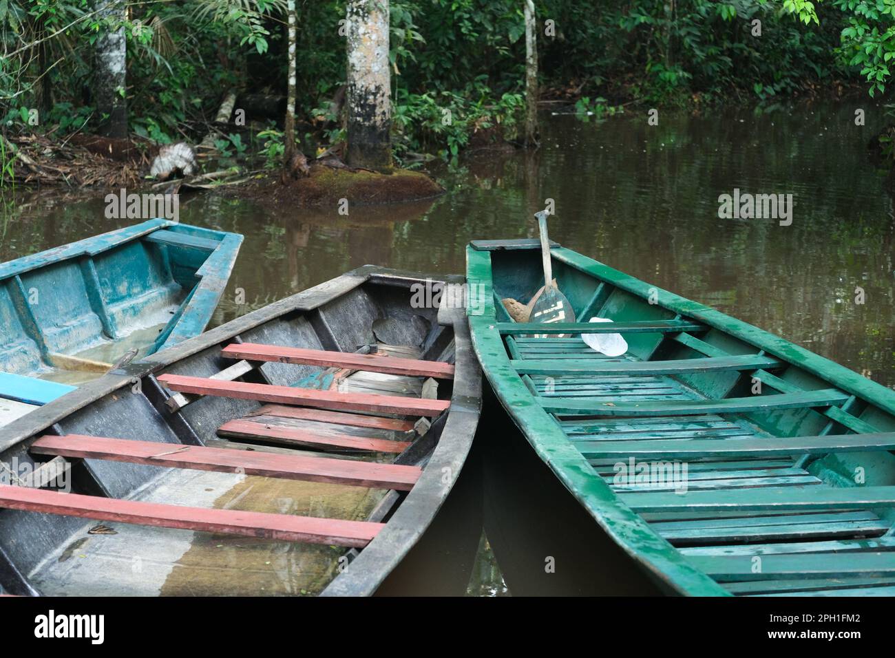 Amazon boats at Sandoval Lake in Amazonas Puerto Maldonado Peru. Wood boats on the water inside jungle rainforest. Selective focus. Stock Photo