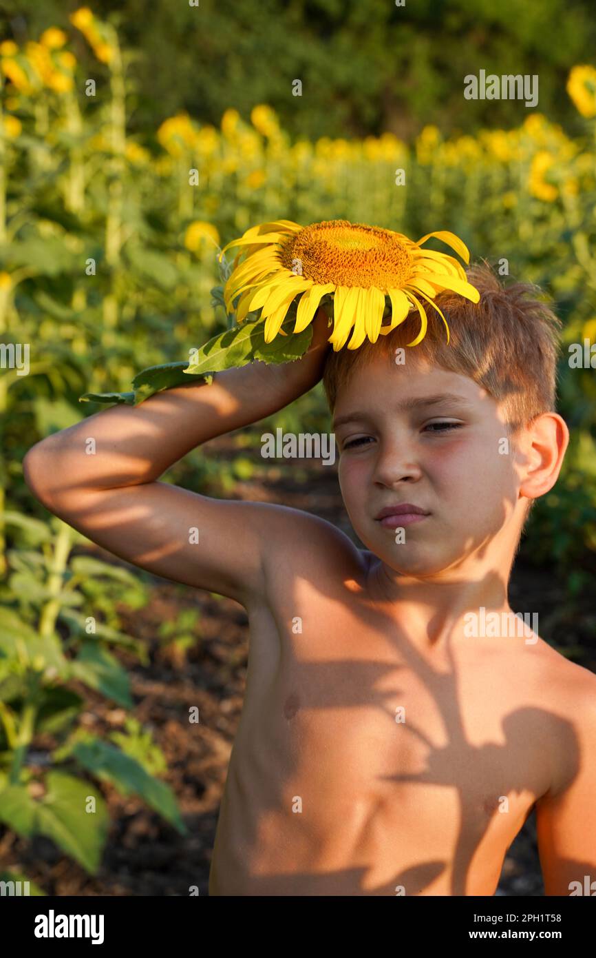 A boy with a sunflower on his head. Comic pose with a sunflower. Fun