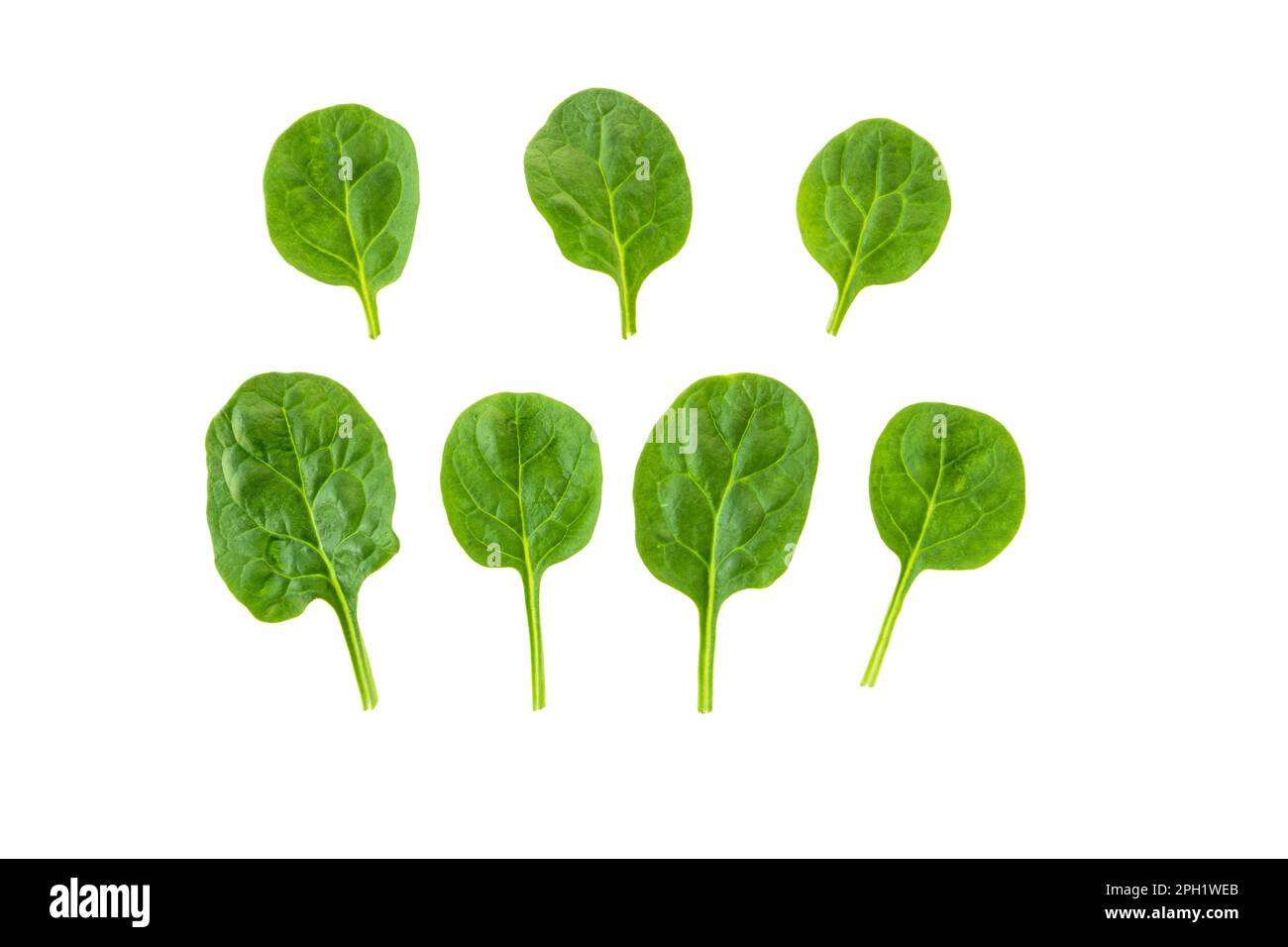Baby spinach leaves set isolated on white. Healthy food Stock Photo Alamy