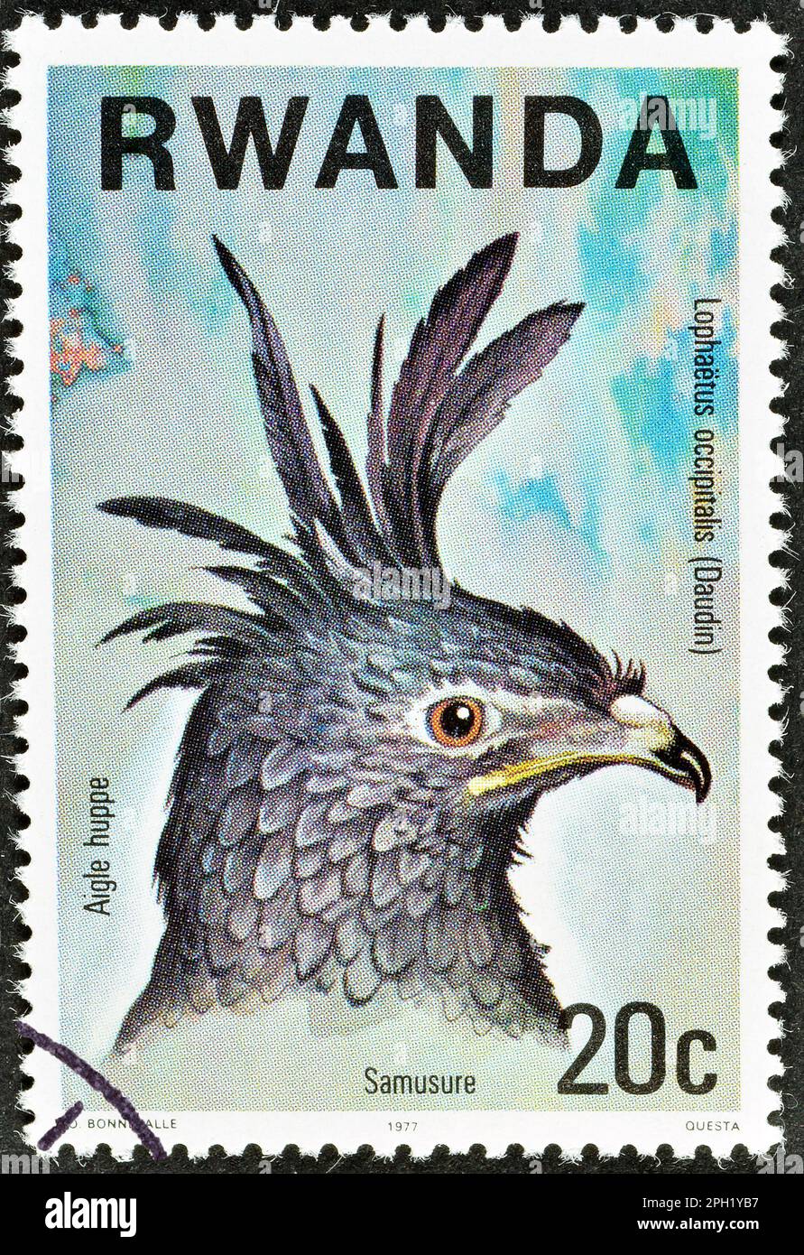 Cancelled postage stamp printed by Rwanda, that shows Long-crested Eagle (Lophoaetus occipitallis), circa 1977. Stock Photo