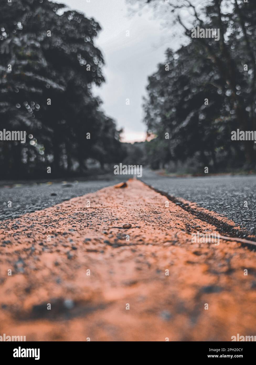 A stretch of asphalt road with a yellow line dividing the lanes of ...