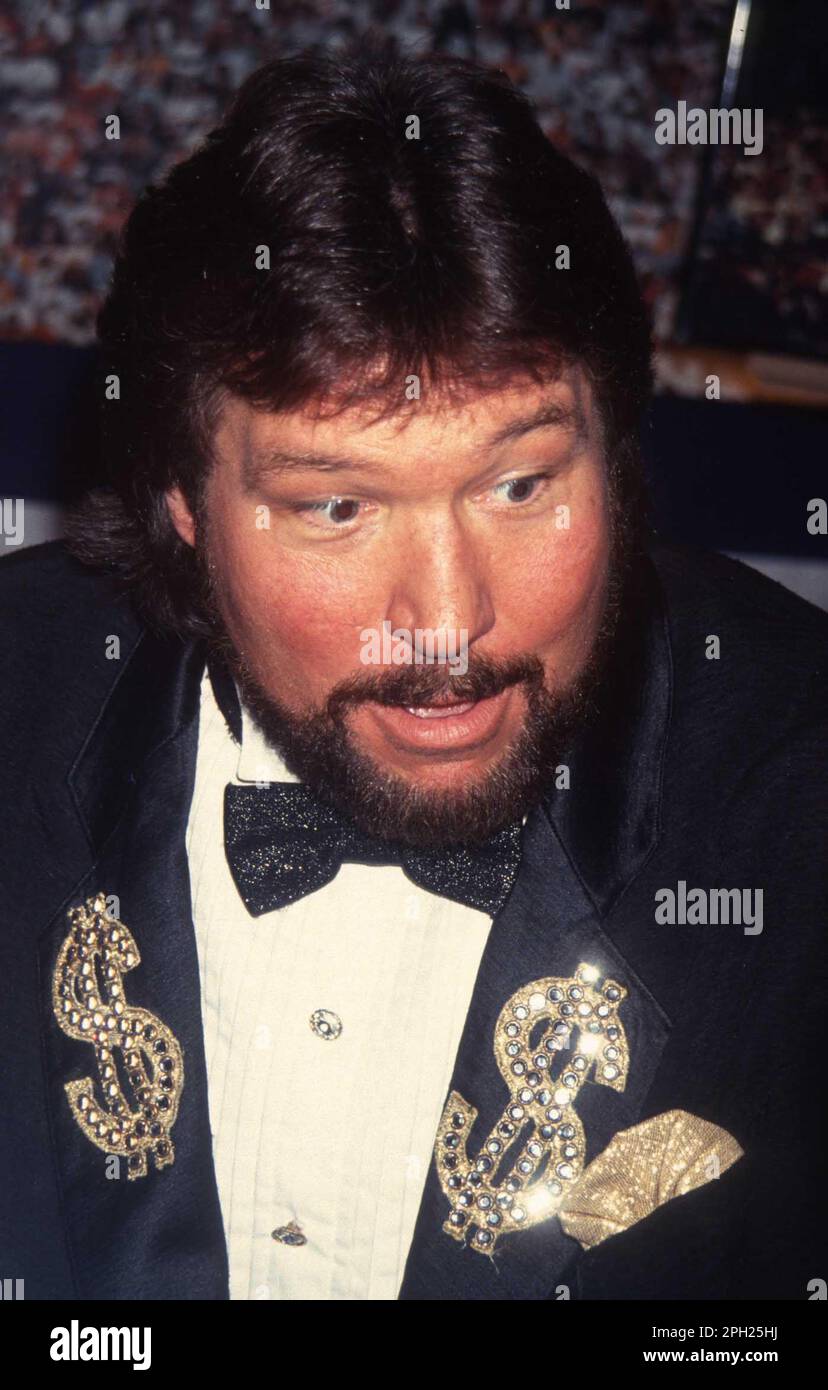 1994 Ted DiBiase Photo by John Barrett/PHOTOlink Stock Photo - Alamy