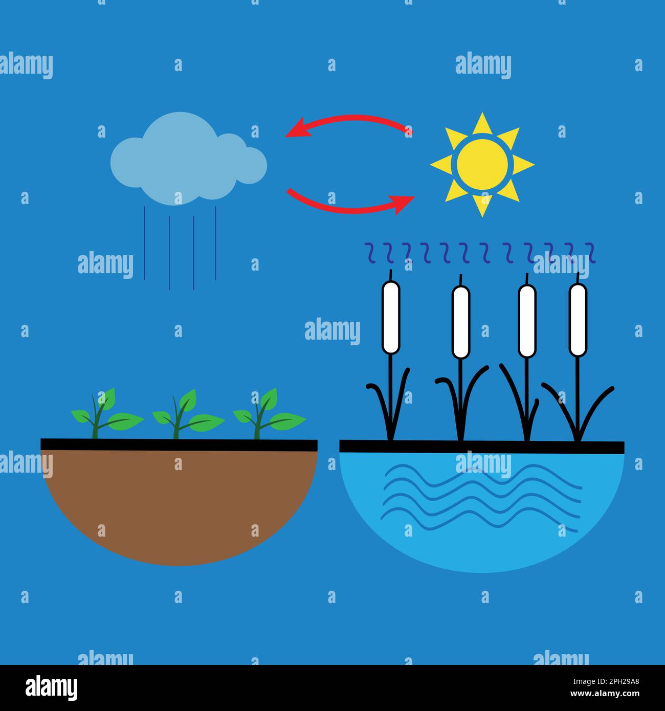 Vector schematic representation of the water evaporation process in nature Stock Vector
