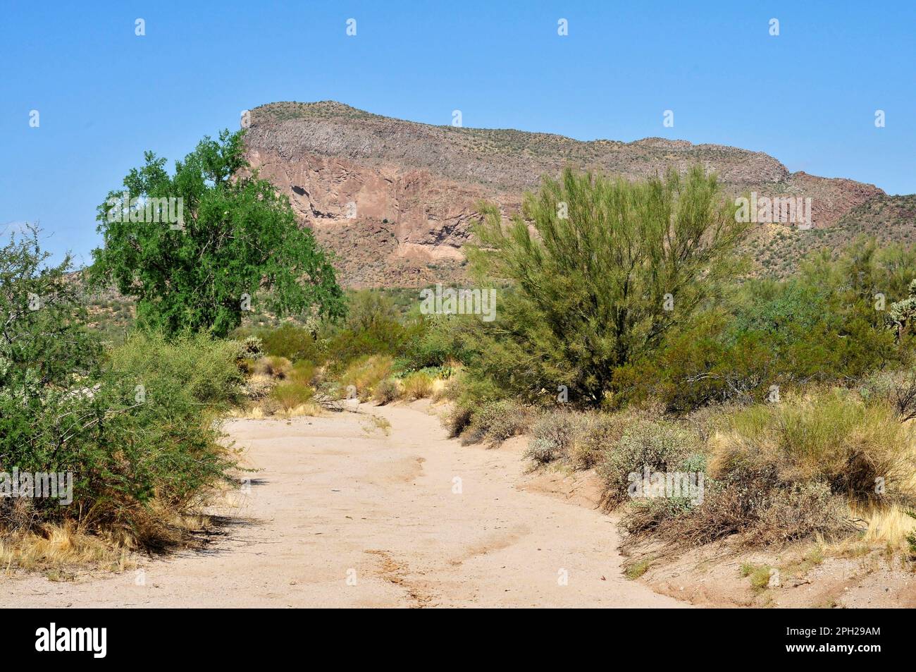 Desert Mountains Viewed from an Arizona Sonora desert arroyo Stock ...