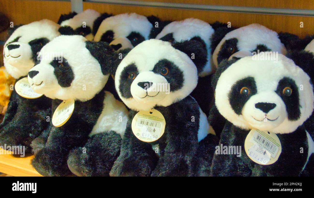 panda soft toy on sale Edinburgh souvenir  zoo gift shop Stock Photo