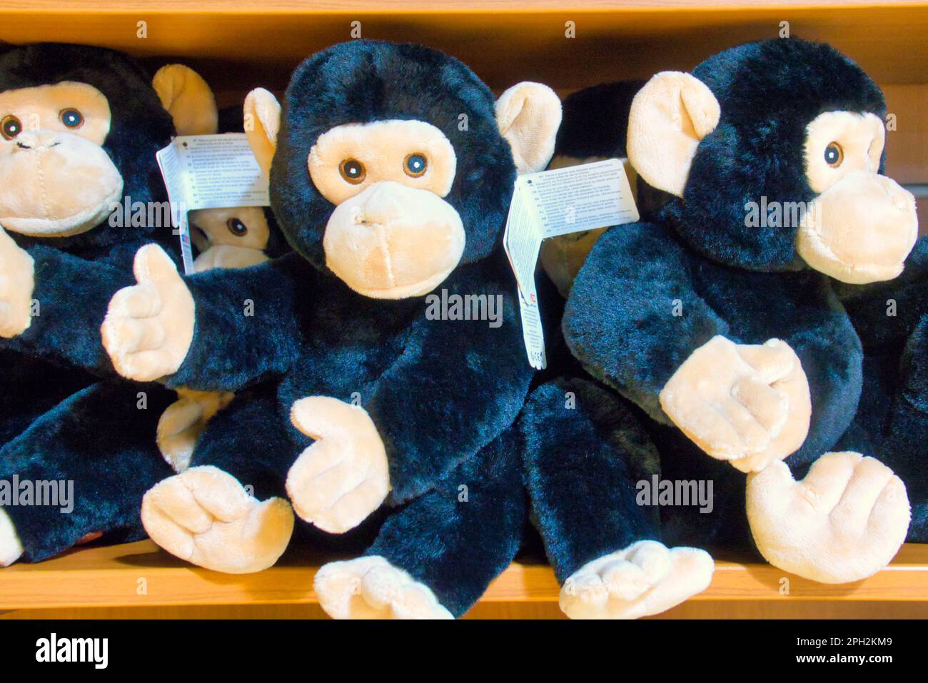 monkey soft toy on sale Edinburgh souvenir  zoo gift shop Stock Photo