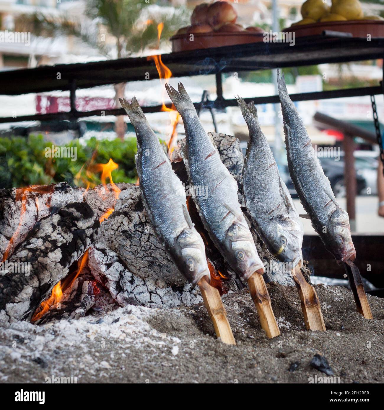 Sardines cooking in a traditional Spanish way on BBQ with sticks Stock