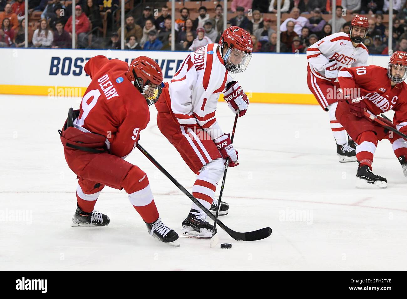 Cornell and Boston University hockey set to meet at MSG in November 2023