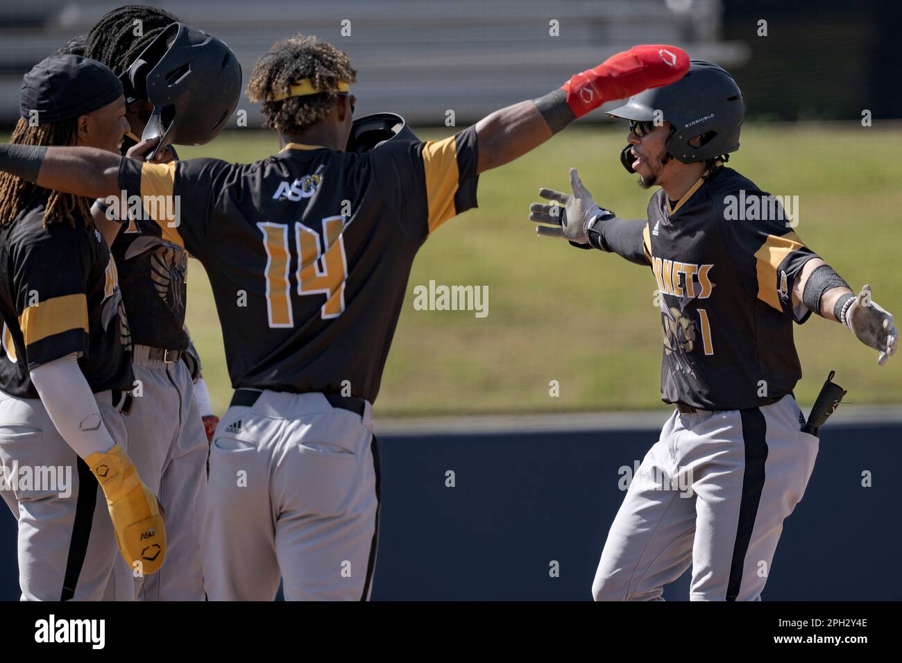 Alabama State infielder Randy Flores (1) celebrates a home run with Alabama  State catcher Jamal George (14) and other players during an NCAA baseball  game against Jackson State on Saturday, March 25