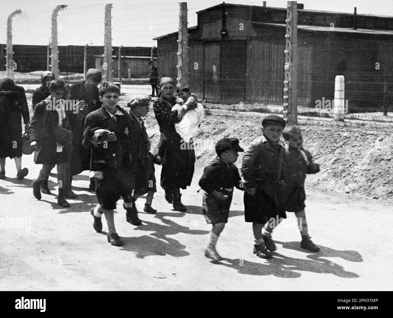 Children from Carpathian Ruthenia walking towards the gas chambers. After the selection process on the train station platform, those doomed to die were walked directly to the gas chambers. Stock Photo
