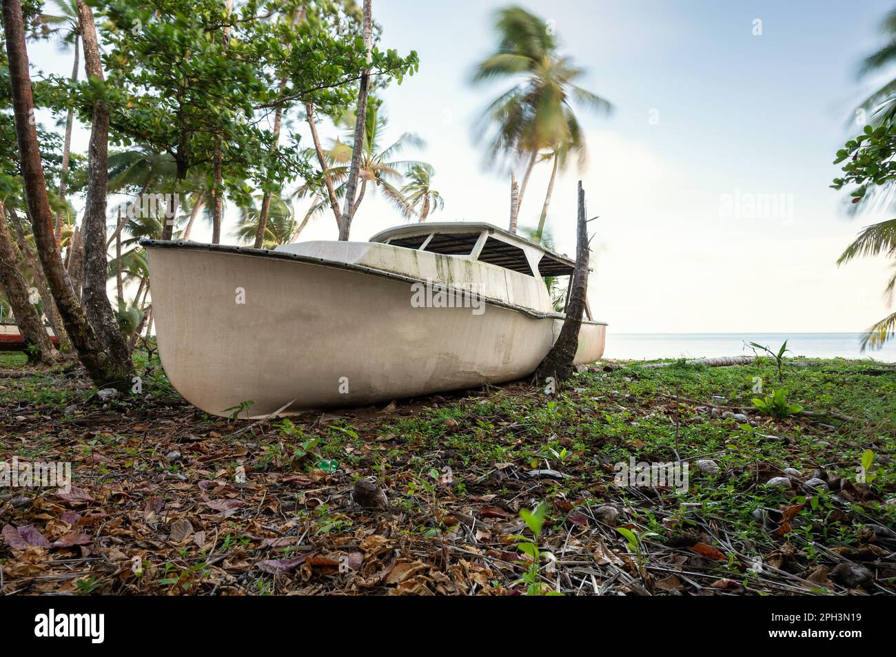Abandoned boat on shore of caribbean island between palm trees Stock Photo
