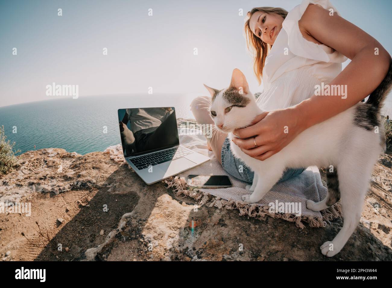 Woman sea laptop. Business woman petting cat and working on laptop by the sea. Close up on hands of pretty lady typing on computer outdoors summer day Stock Photo