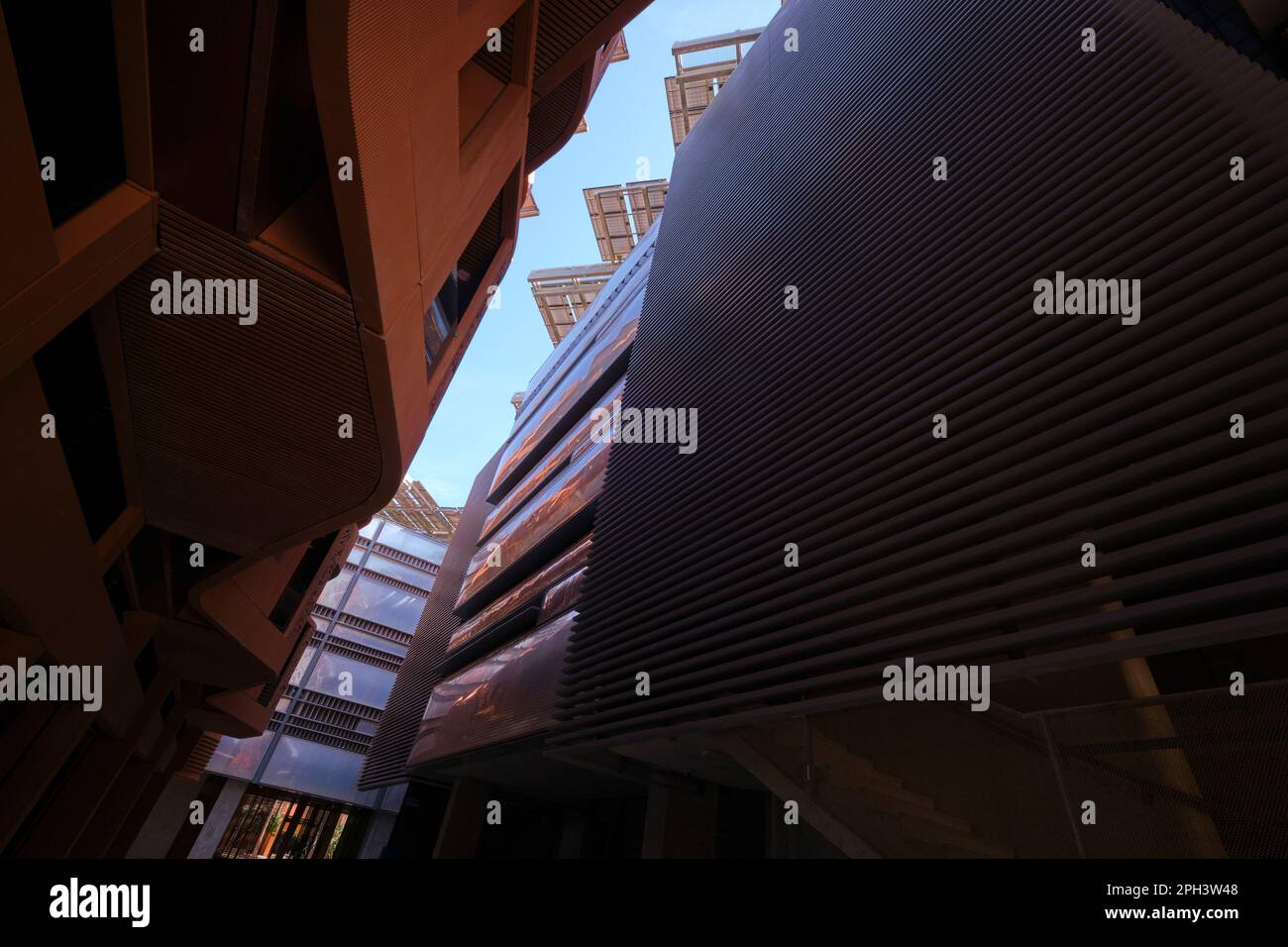 Image showcasing 15 Green building materials for an eco-conscious home - The Zebra
