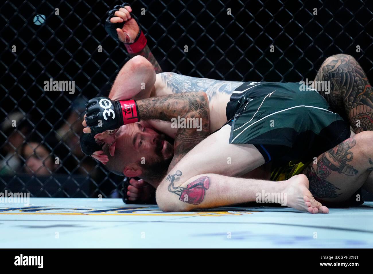 SAN ANTONIO, TEXAS - MARCH 25: Cory Sandhagen (top) controls the body ...
