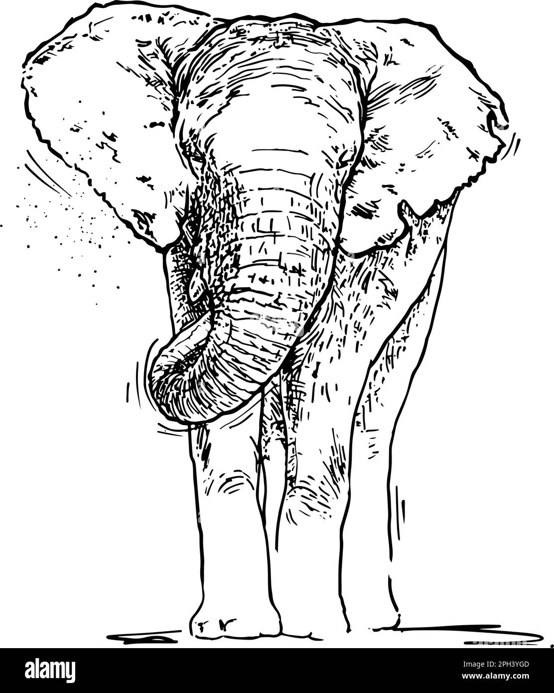 African elephant. Hand drawn, Vector illustration Stock Vector