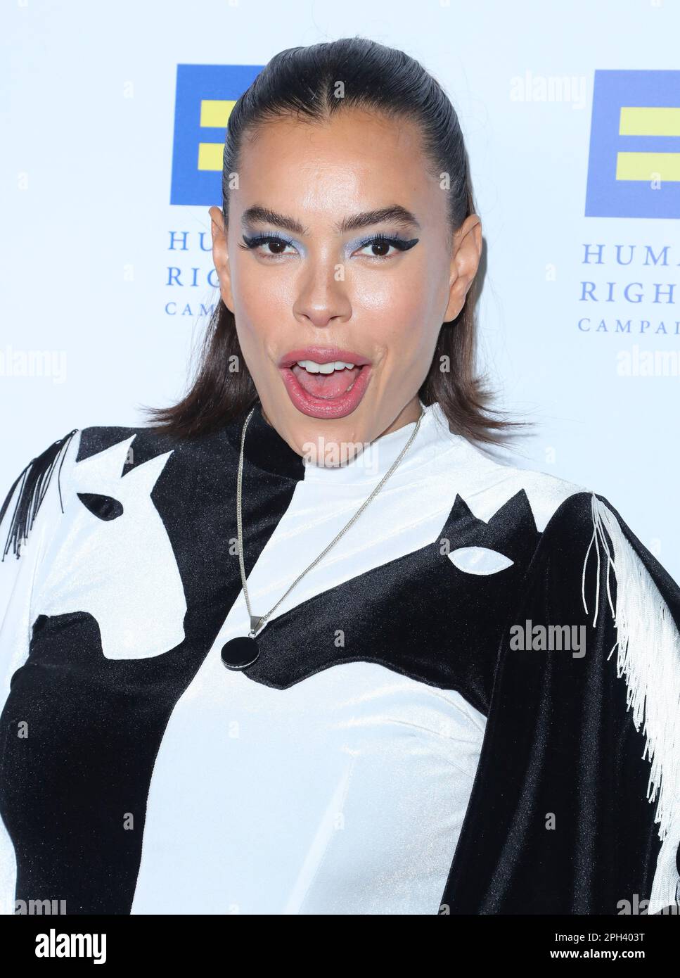 Los Angeles, USA. 25th Mar, 2023. Brianna Baker arrives at The 2023 Human Rights Campaign LA