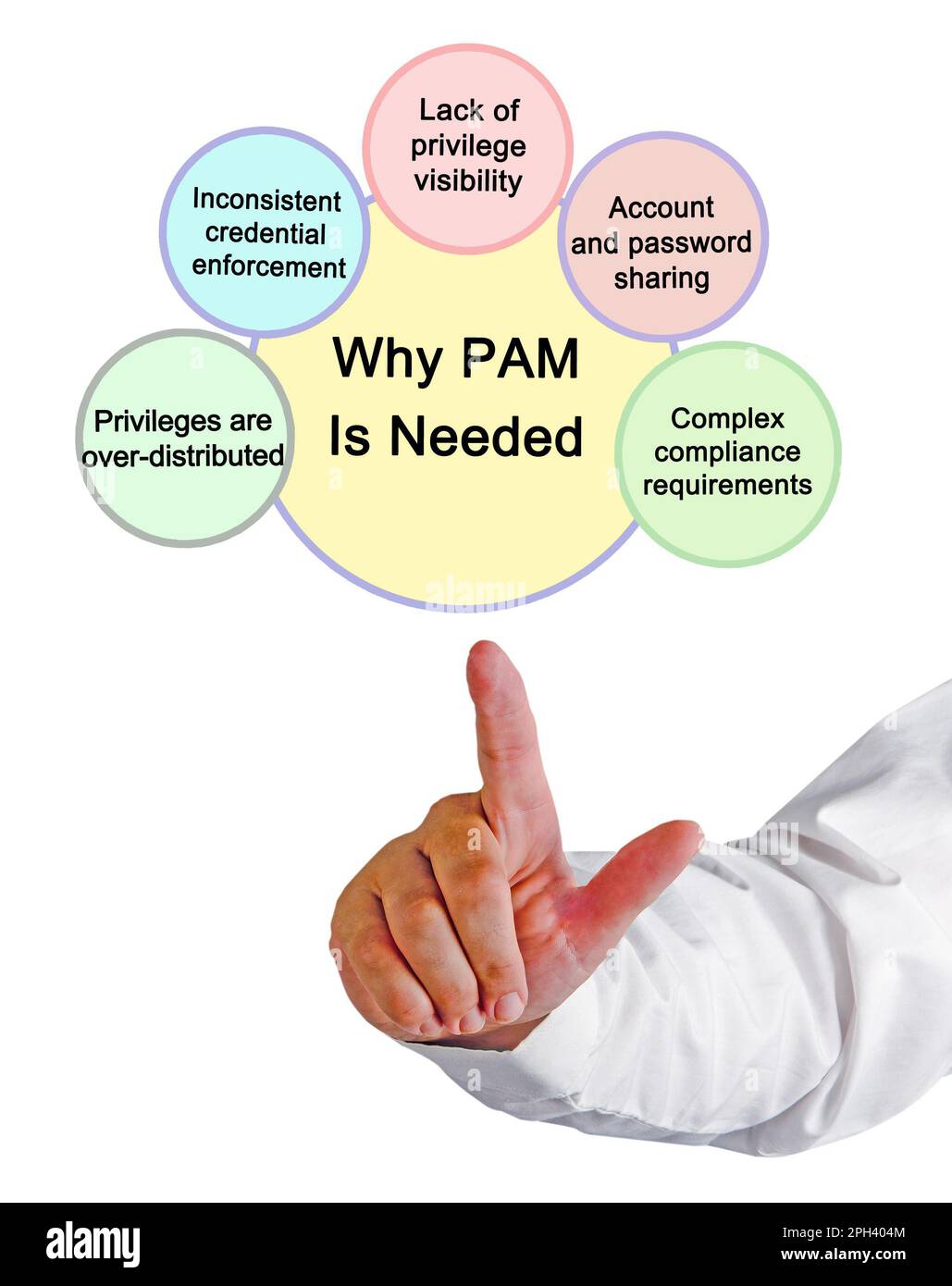 Pam Barnhill Plan Your Year Homeschool