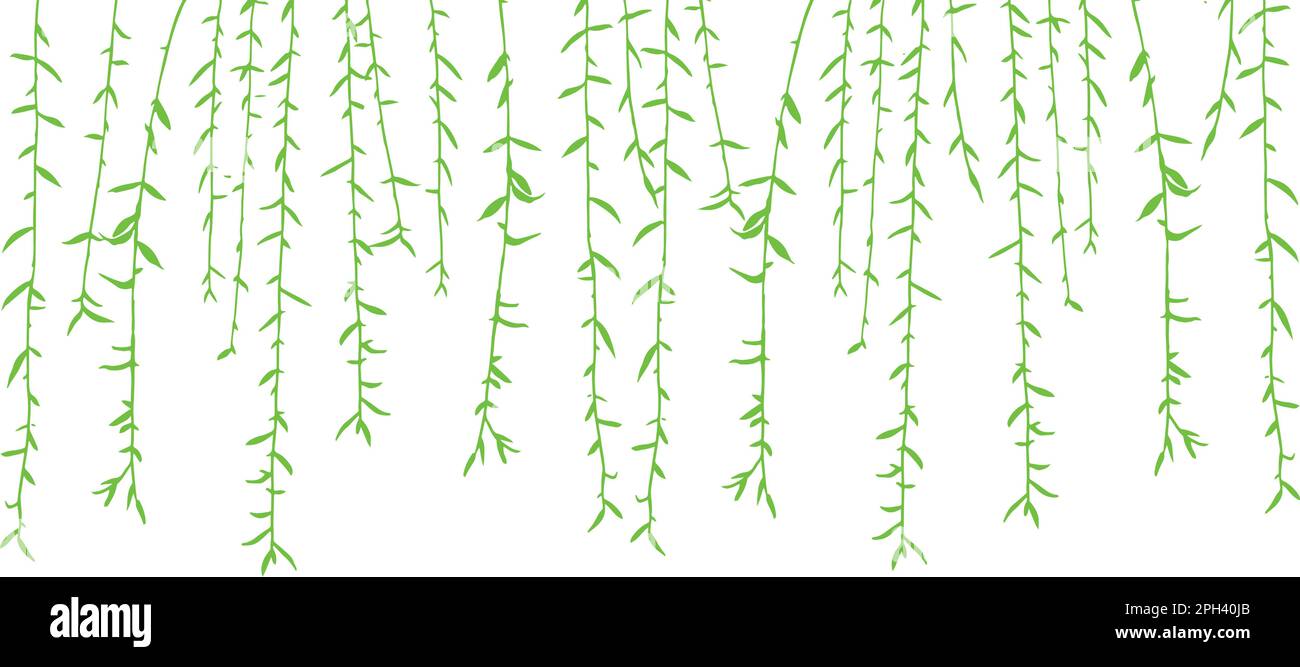 willow branches with leaves, hand drawn, vector illustration Stock