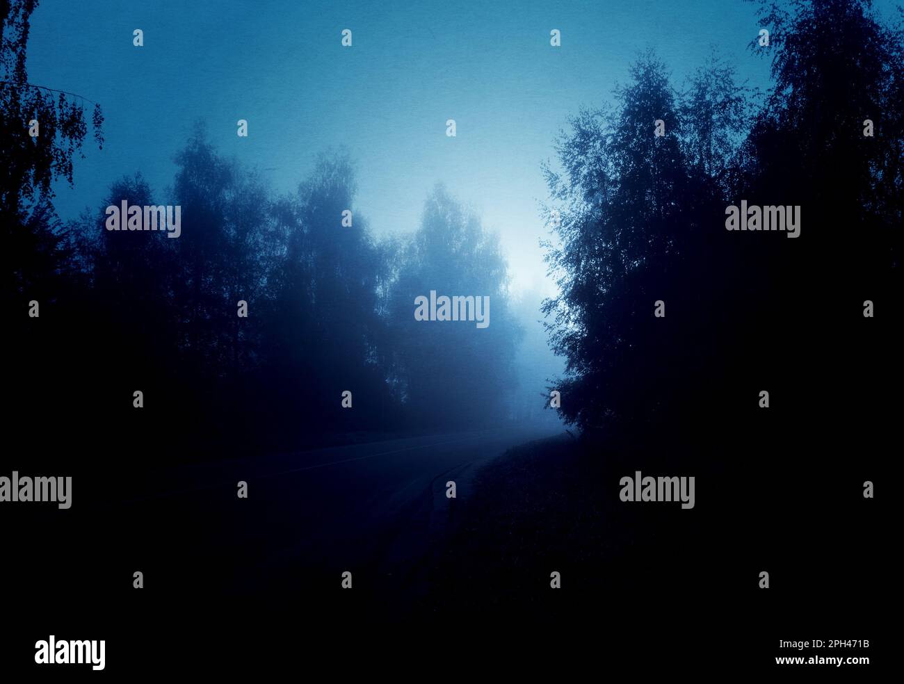 Rural road in the forest, dark foggy landscape Stock Photo - Alamy