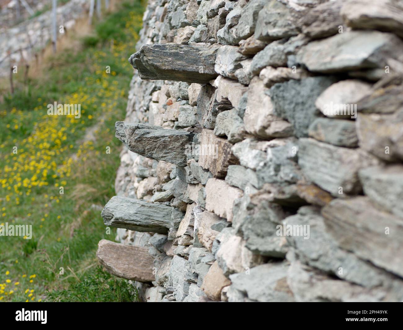 Stone wall with stone steps built into it in order to climb up the terraced nature of the vineyard, Aosta Valley, Italy Stock Photo