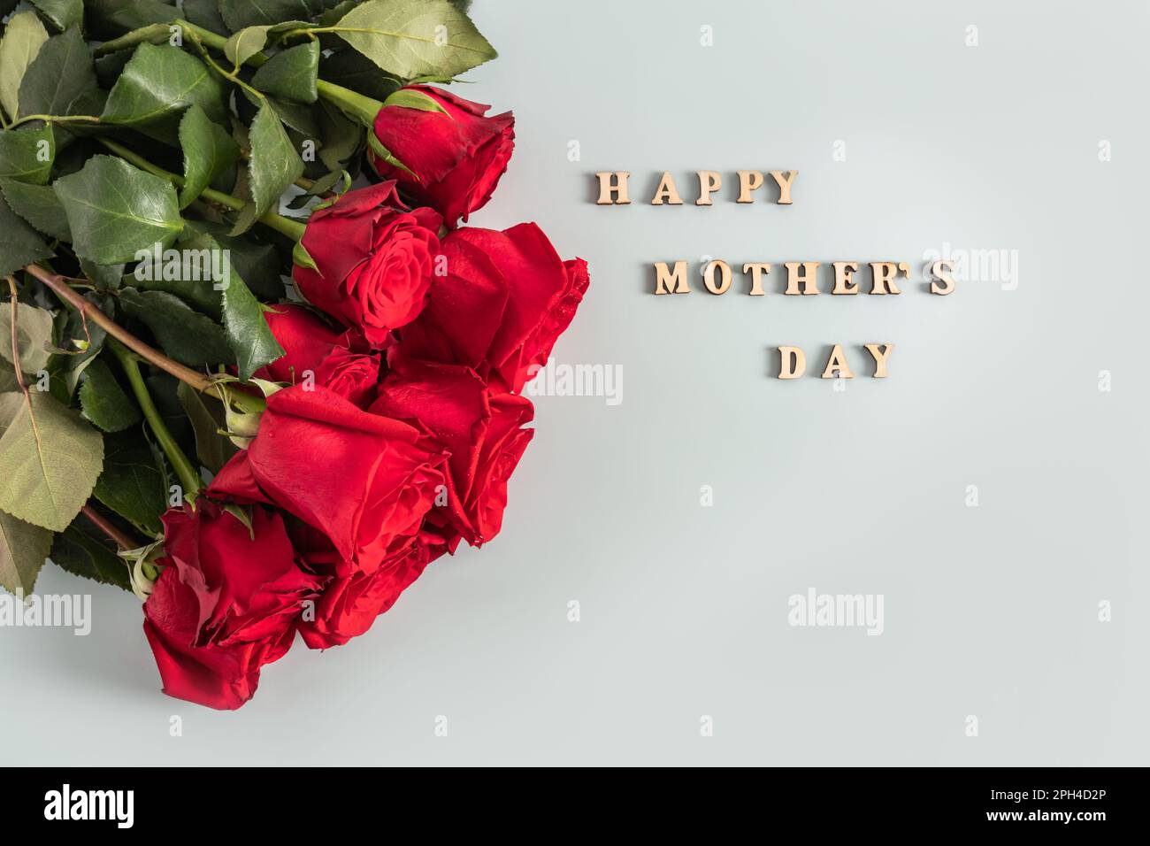 Beautiful bouquet of red roses on a pastel background for Mother's Day