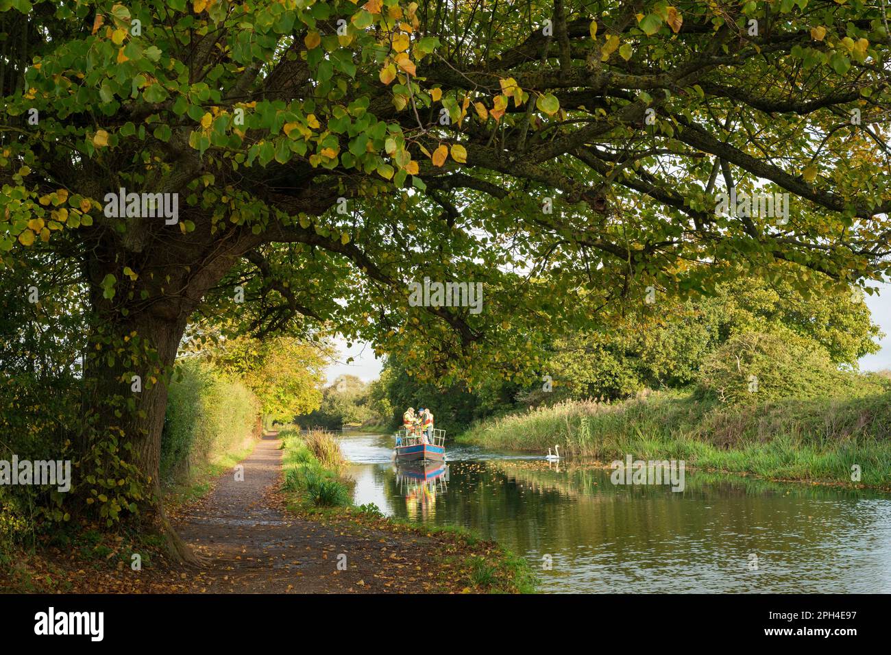 Canal towards at River Lavant, Chichester, West Sussex, UK Stock Photo