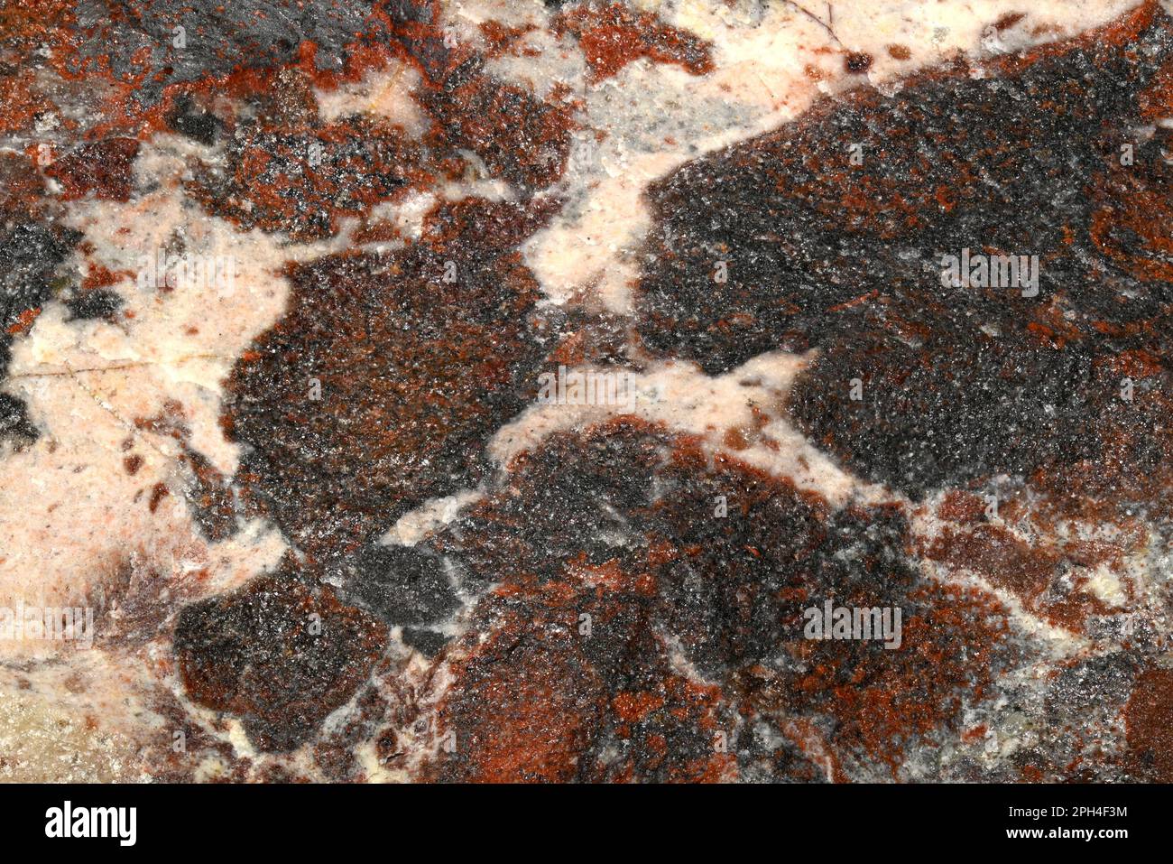 Breccia (South Africa) Sedimentary rock composed of broken fragments of minerals or rock cemented together by a fine-grained matrix. Closeup - image f Stock Photo
