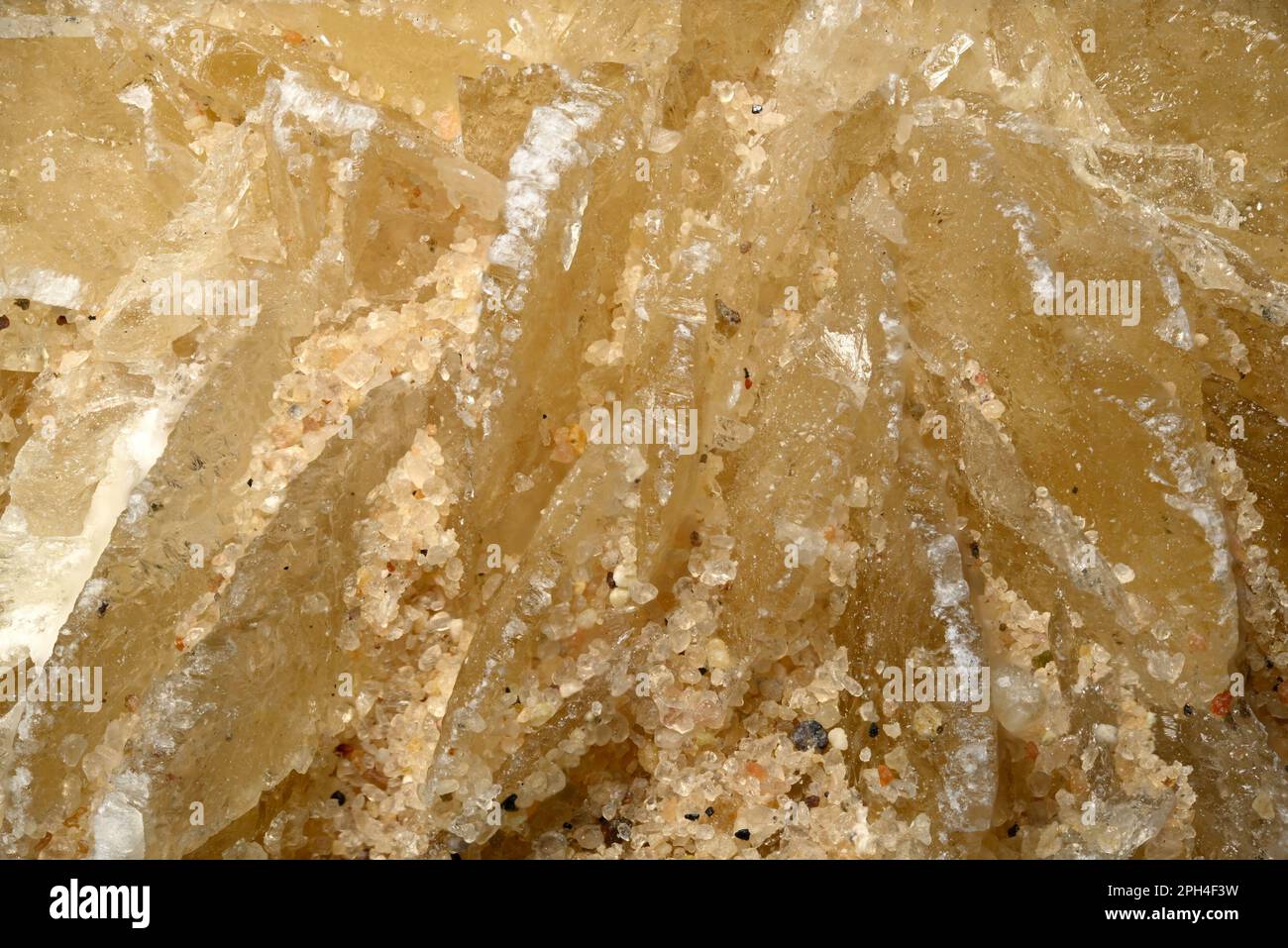 Desert Rose - Baryte (barium sulphate) Closeup. [Image frame c1cm across] Stock Photo