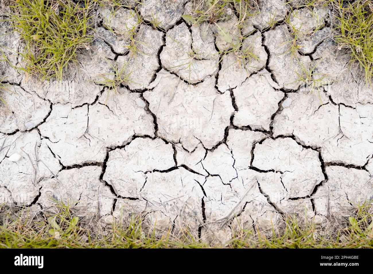 Close up of soil of dry cracked desert. Global warming concept. High quality photo Stock Photo