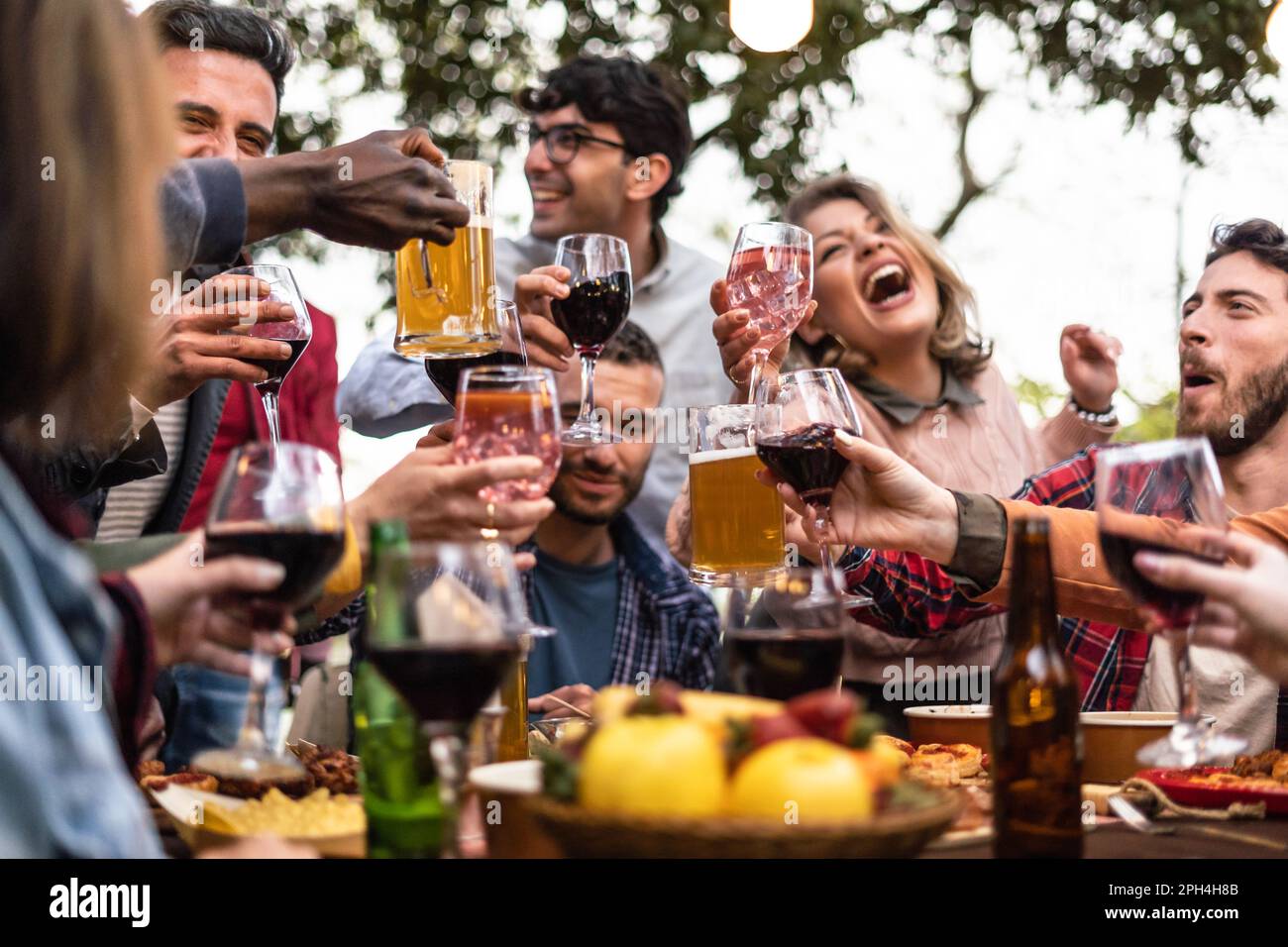 A diverse group of friends raising their glasses in a toast during a countryside picnic. The table is set with grilled meats, wine, and beer, surround Stock Photo