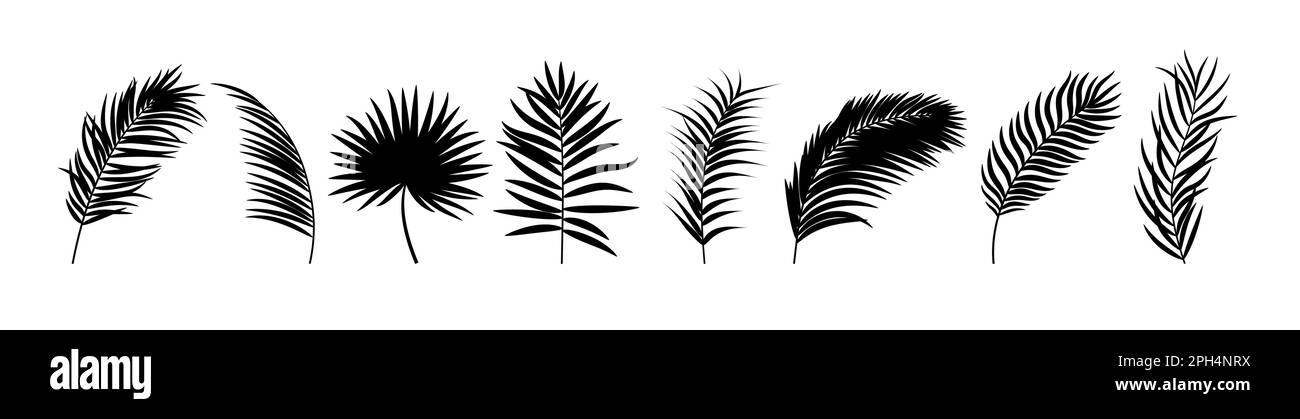 Beautifil Palm Tree Leaf Silhouette Stock Vector Image & Art - Alamy
