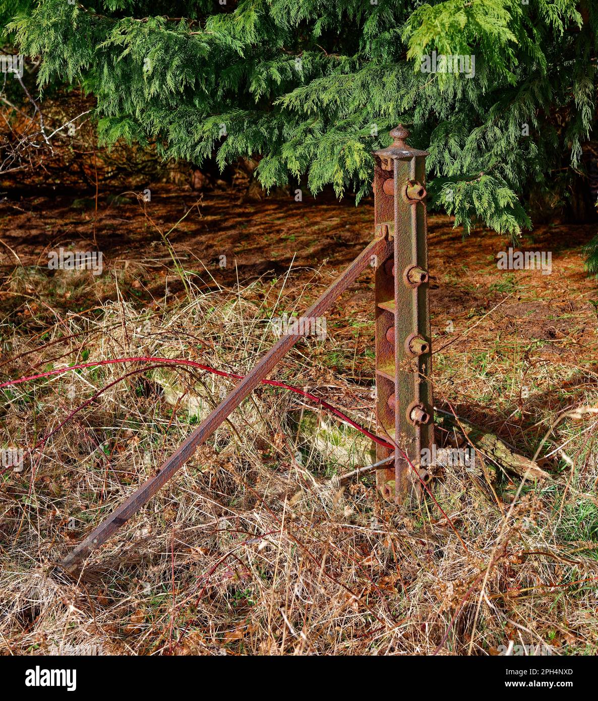 An Old cast Iron Tensioning Fence Post hidden at the edge of a Field near to Friockheim lit up