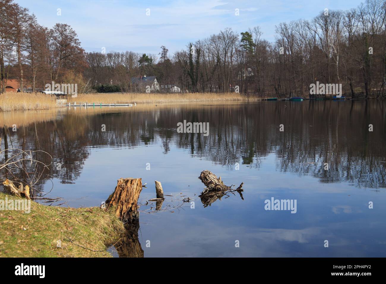 View at the Kleiner Glubigsee lake in destination Wendisch Rietz in spring, Federal State Brandenburg - Germany Stock Photo