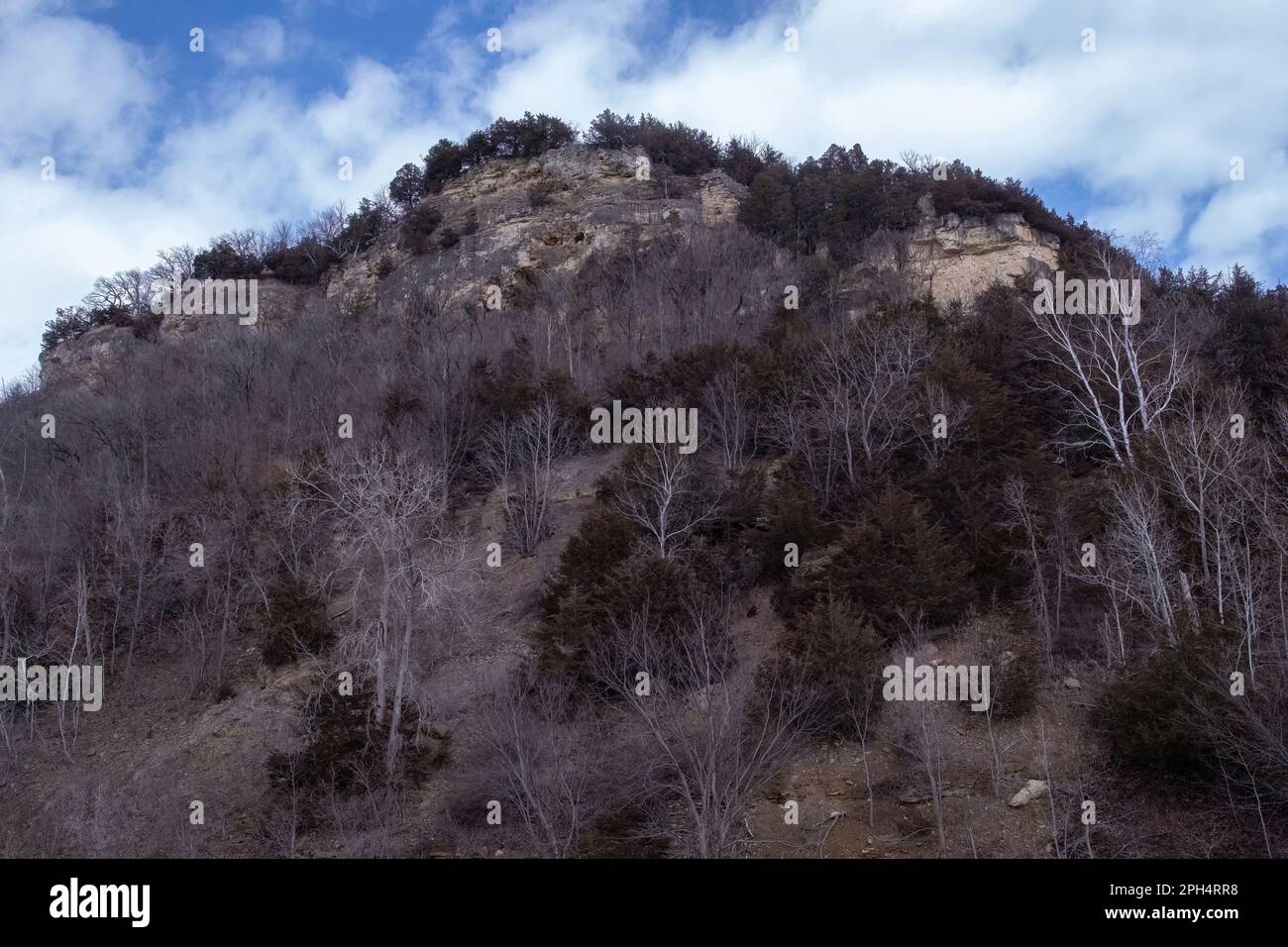 Tall bluff with rock and trees at the overlook across from Lake Pepin